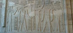 Sobek